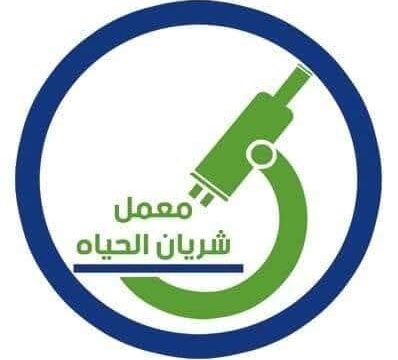 FB_IMG_1745788646009